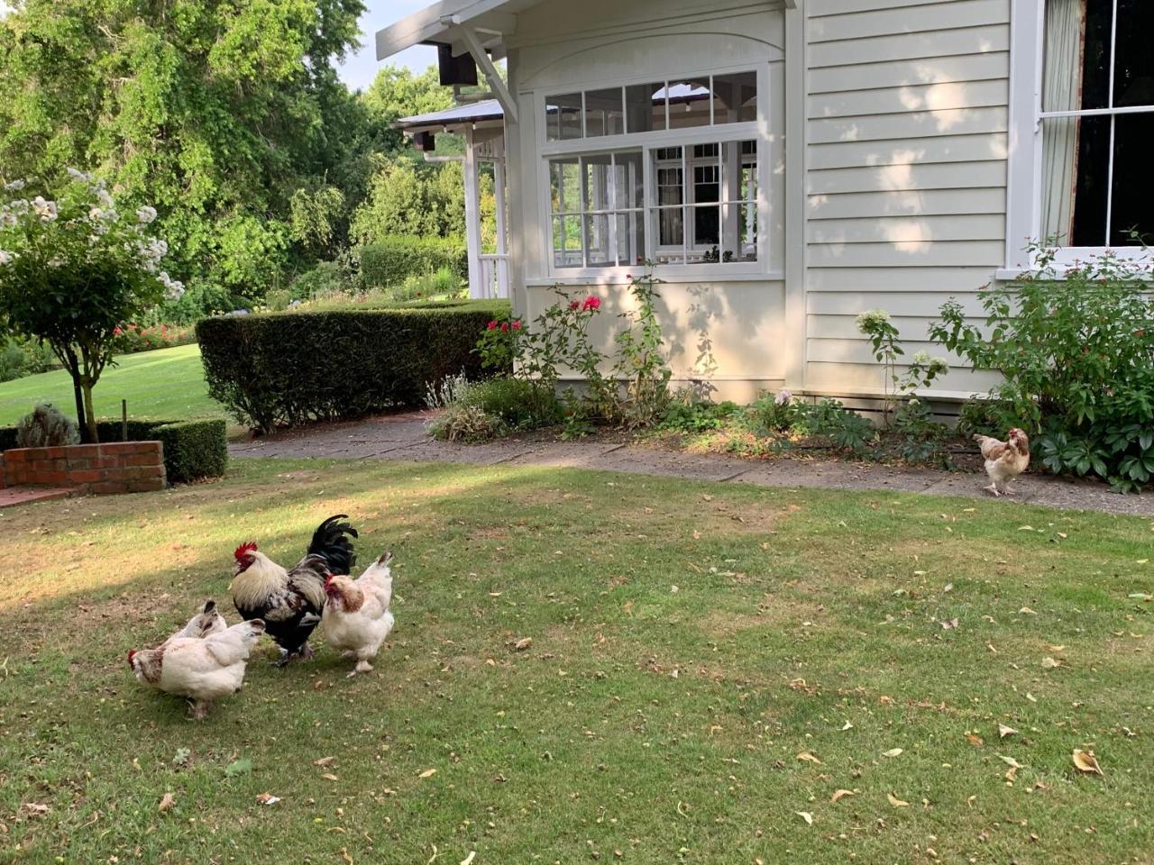 Wallingford Homestead المظهر الخارجي الصورة