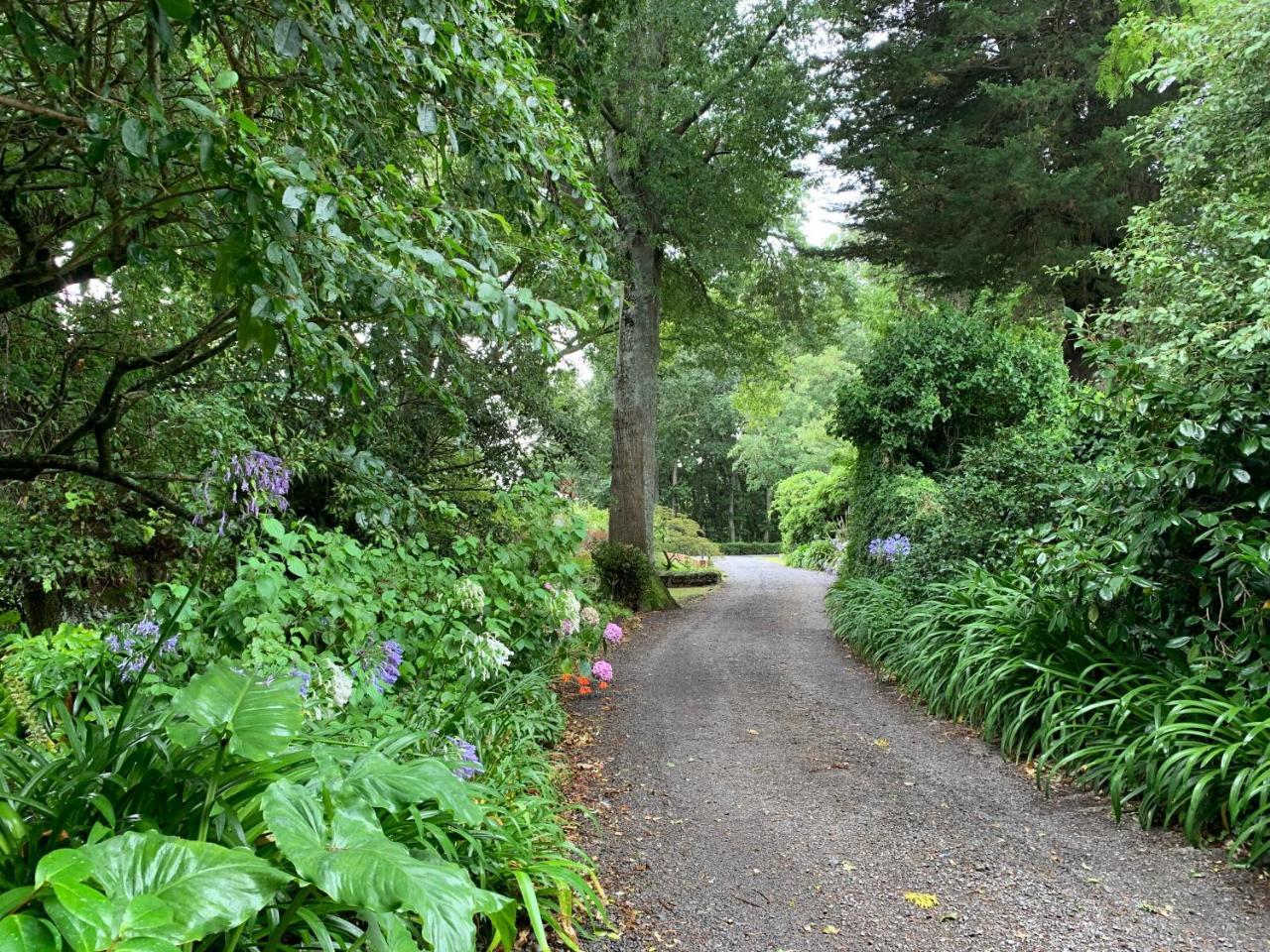 Wallingford Homestead المظهر الخارجي الصورة