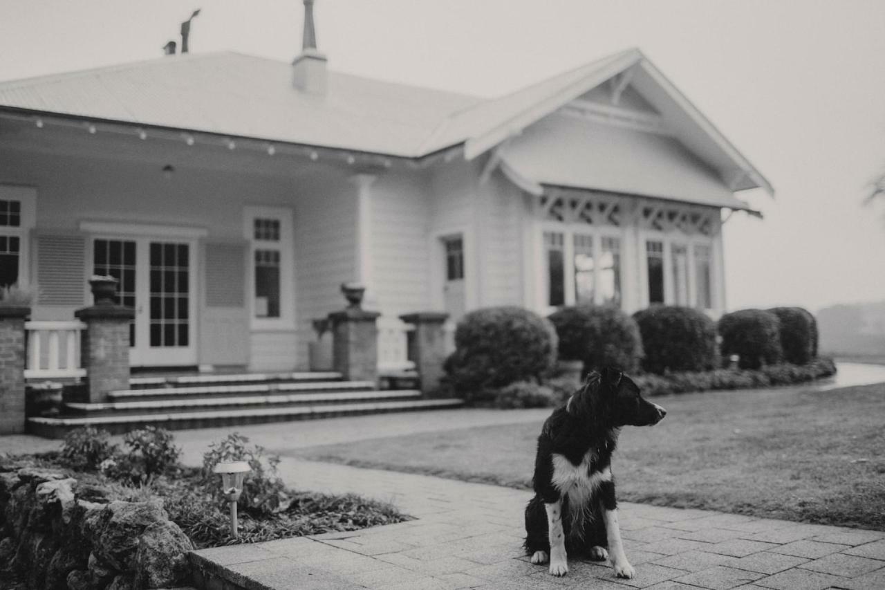 Wallingford Homestead المظهر الخارجي الصورة